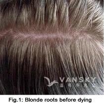260714095041_Hair-Before Dying-s.jpg